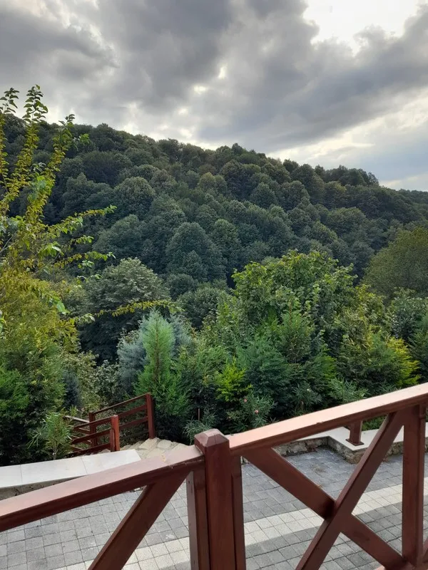 The Canyon Kartepe: Sapanca ve Kartepe'de Jakuzili Bungalov, Ağaç Ev ve Kanyon Deneyimi